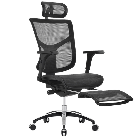 MODEL VISTA